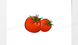 番茄漫画图,趣味横生的日常趣事